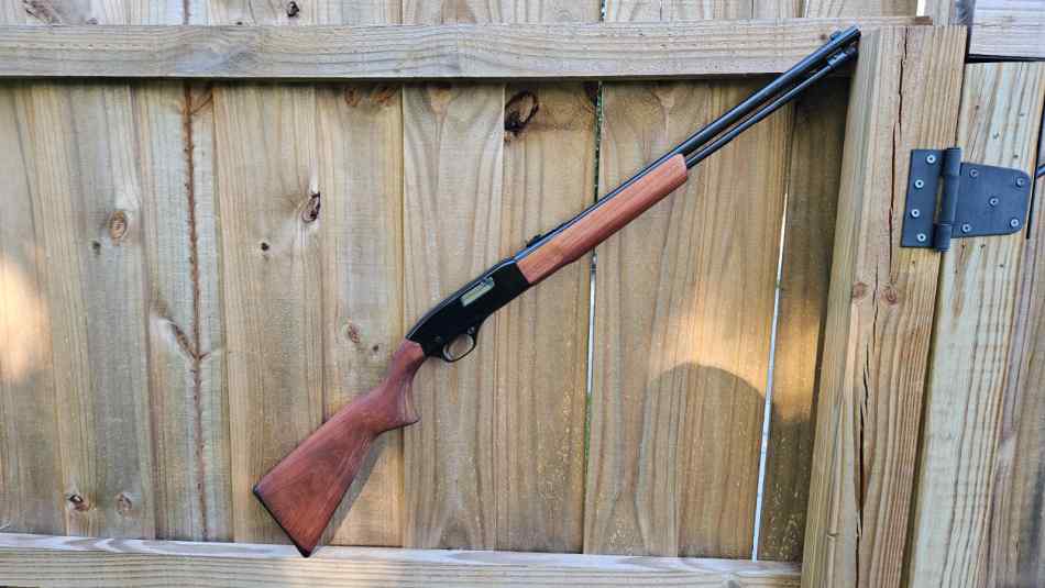 Beautiful Winchester 190 Rifle | BCCF