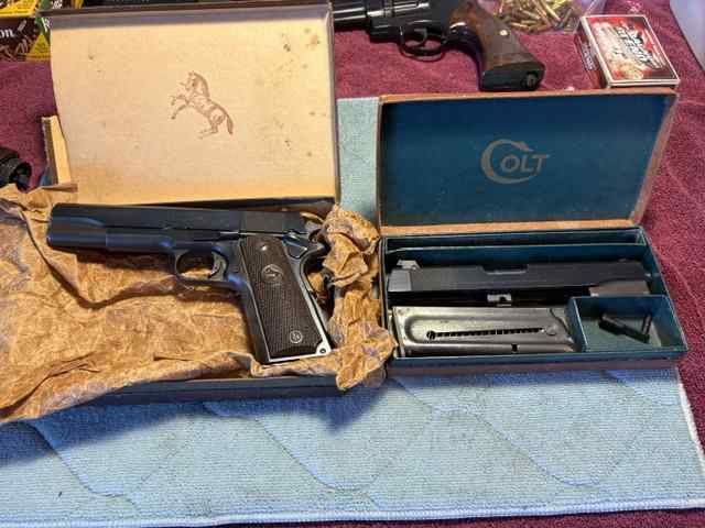 HIGHLY DESIRABLE AND COLLECTABLE COLT